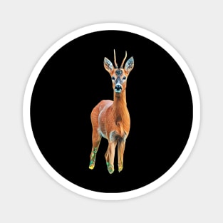 Roe Deer - Woodland Themed Kids Room, Funny Gifts For Forester, Cute Animals Magnet